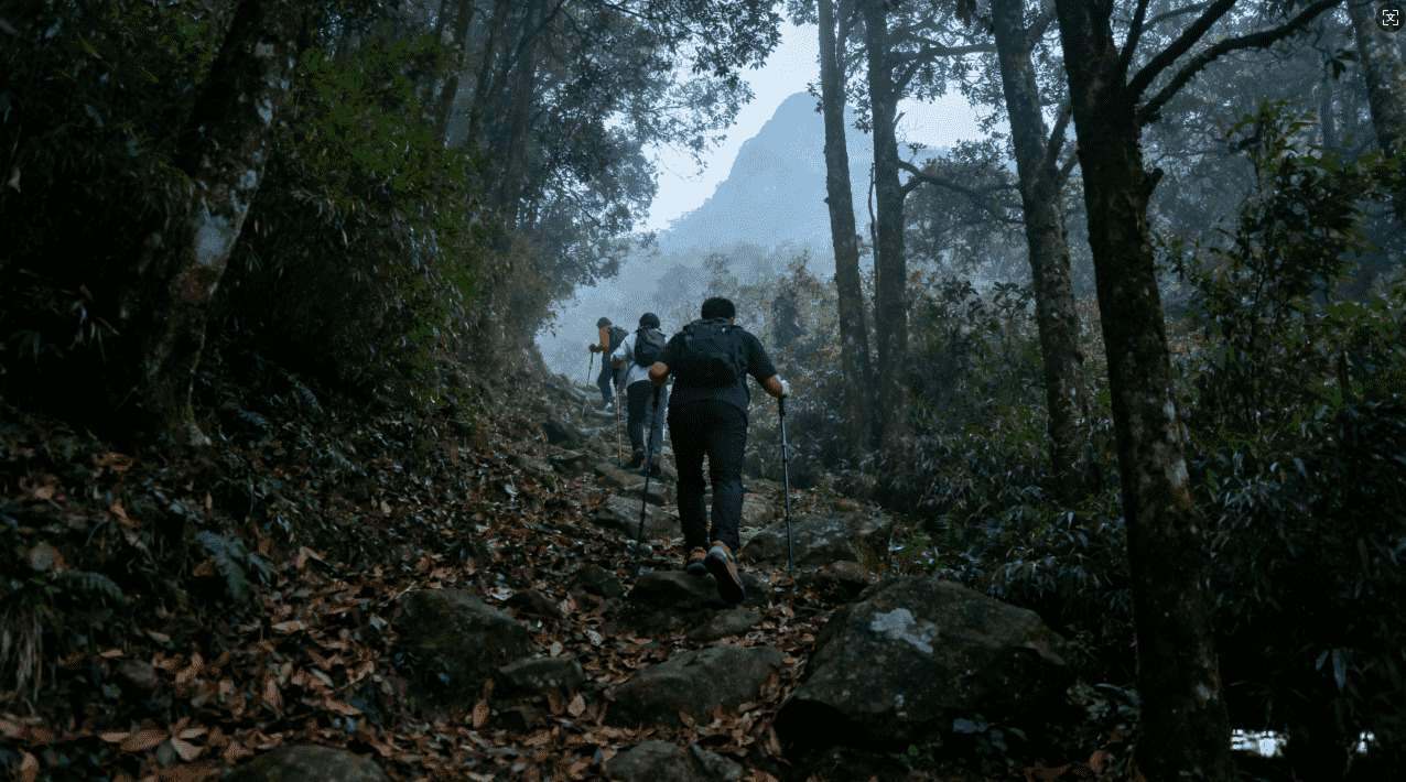 芒果加速器续费取消详细操作指南